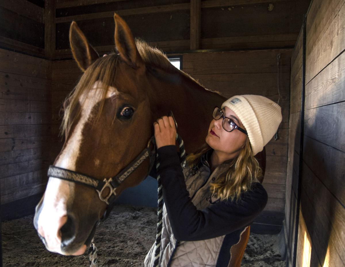 VL 101220 Equine Alexis and Squirt