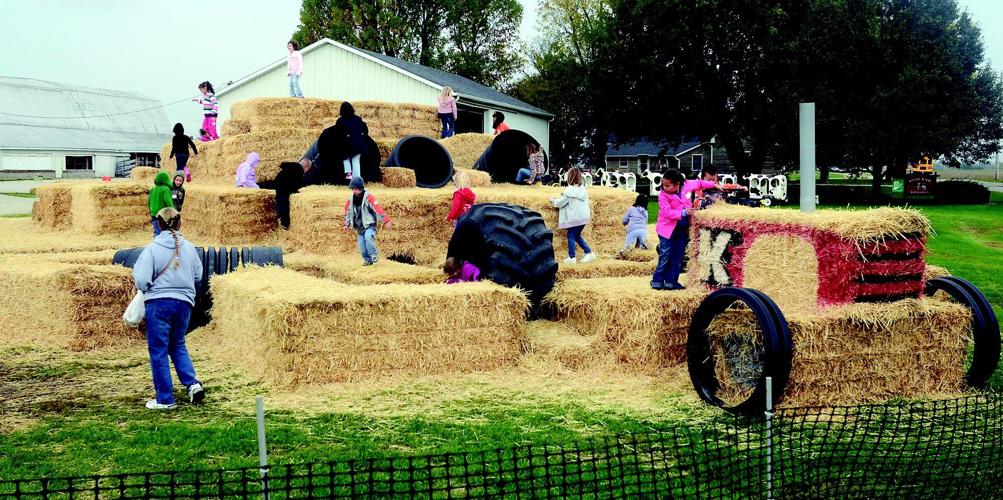 Kelsay Farms offers adults, children alike a chance to ...