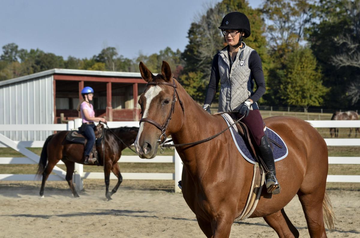 VL 101220 Equine Class