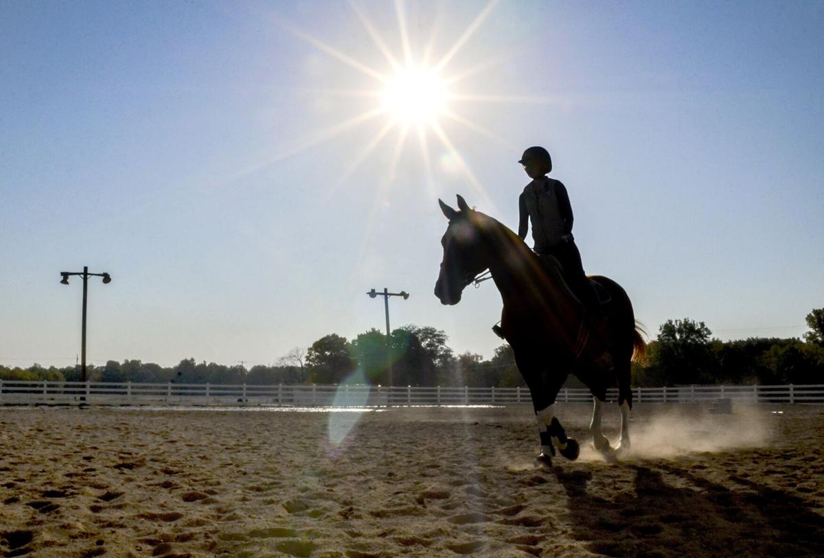 VL 101220 Equine DD Ride