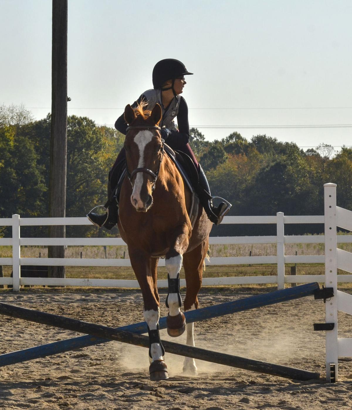 VL 101220 Equine Jump