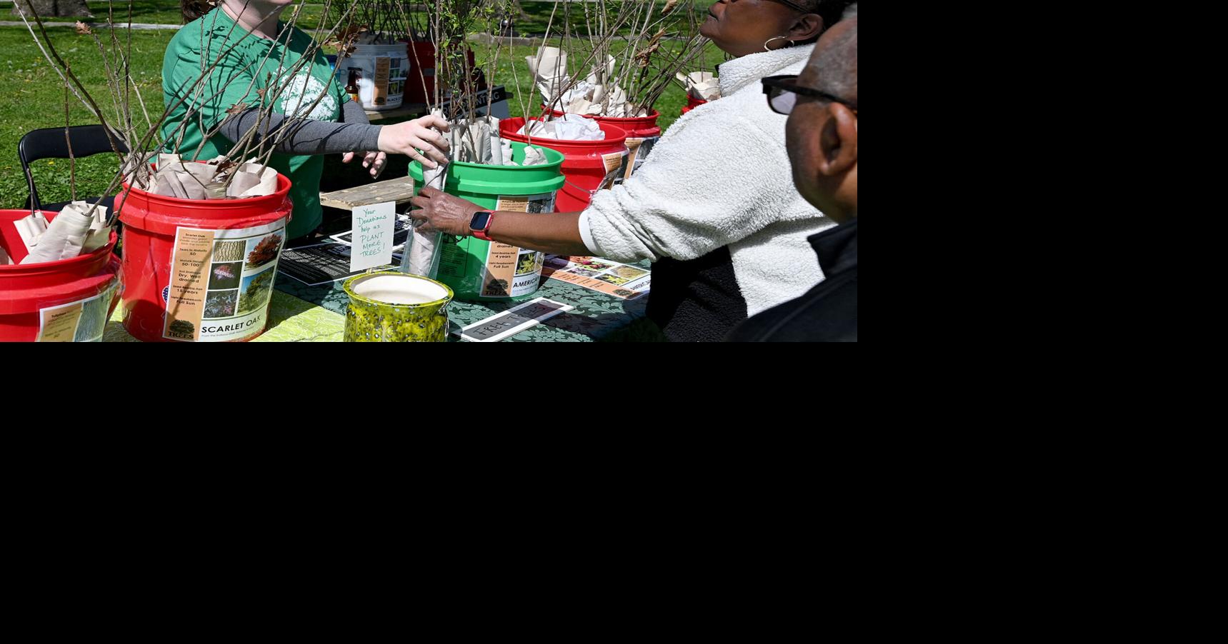 TREES Inc. to distribute 1,300 free saplings at spring events | Local ...