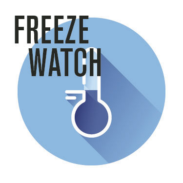 3M™ Freeze Watch™ Indicator 9805FW, 0C/32F, 400 per case | 3M United States