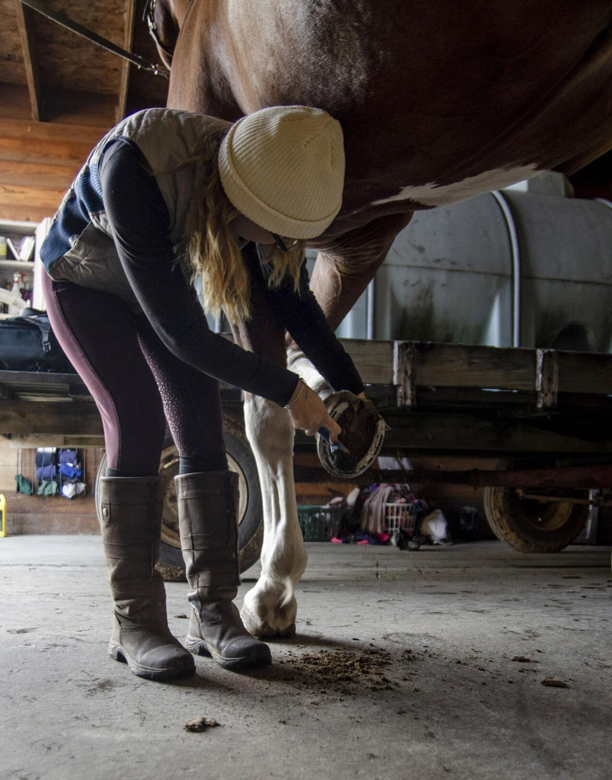 VL 101220 Equine Shoe Clean