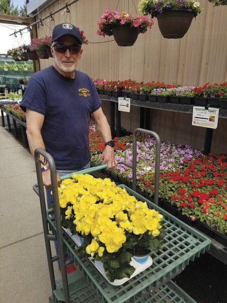 ‘Grounded to residence’: Unprecedented curiosity in gardening anticipated to proceed | Information