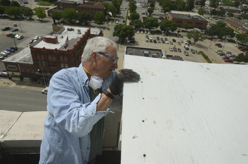 Biologists studying Sycamore Building birds' longevity 