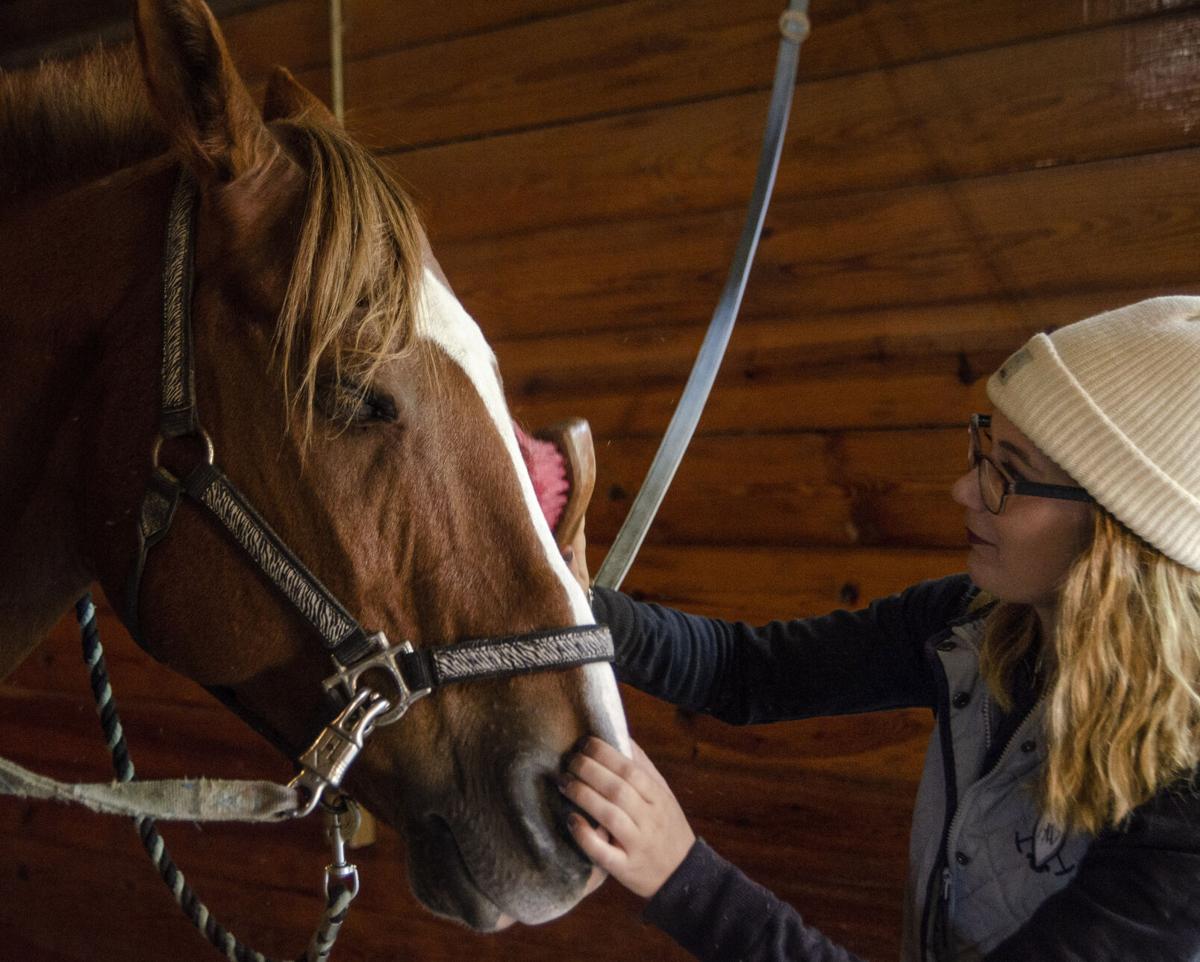 VL 101220 Equine Squirt Groom 2