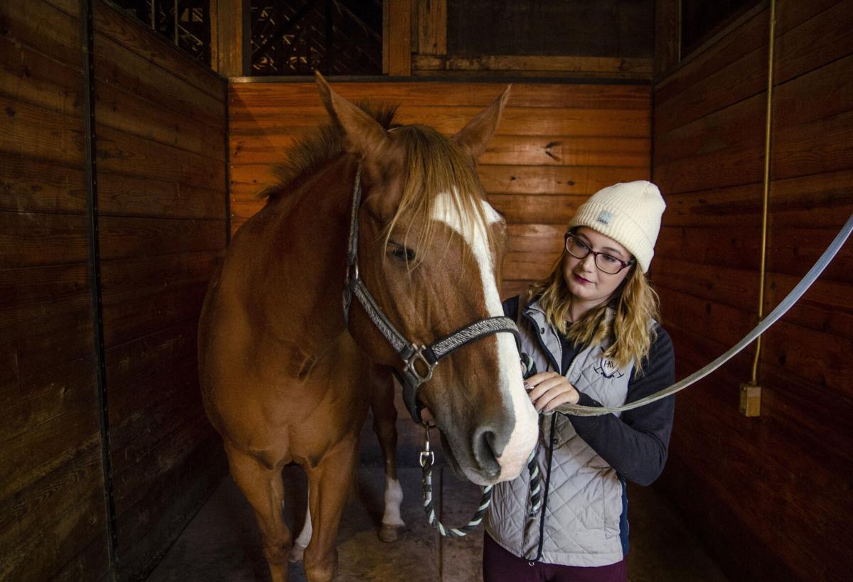 VL 101220 Equine Squirt Groom