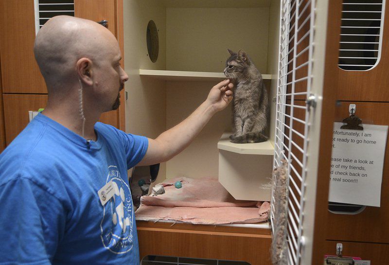 Wabash Valley animal shelters packed Local News