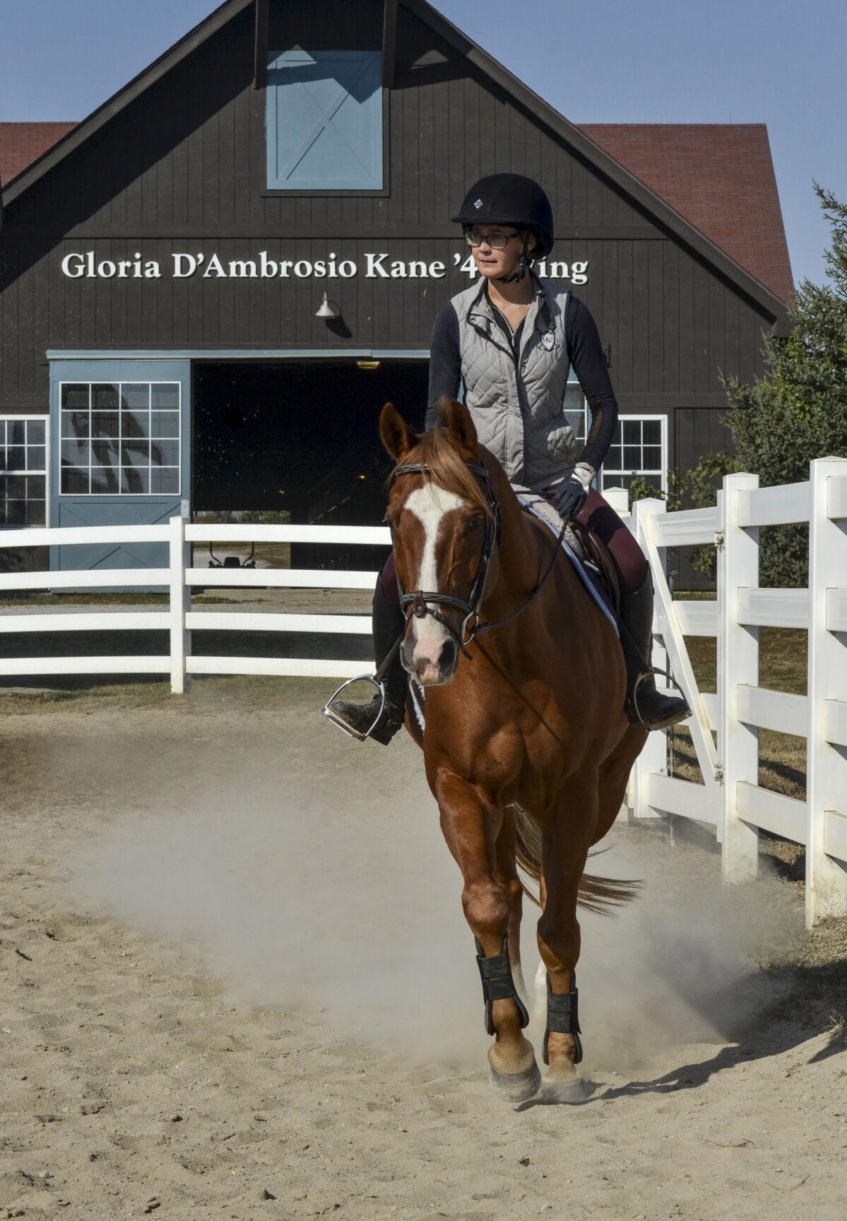 VL 101220 Equine Squirt ride