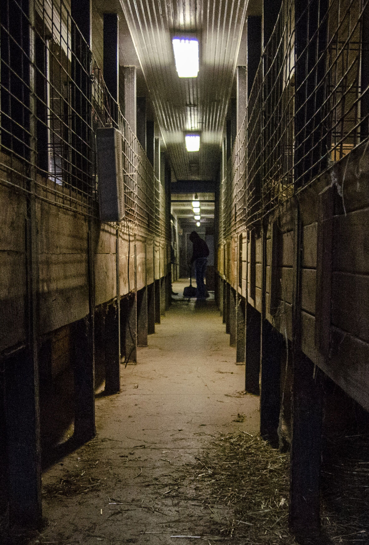 VL 101220 Equine Stall hallway