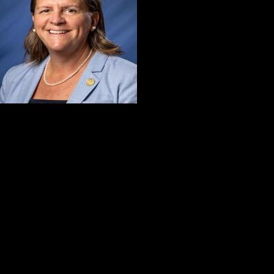 Rep. Pfaff seeks re-election to District 43