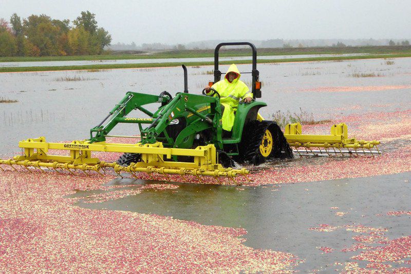 Theres More Than Cheese In Wisconsin Cranberries Too