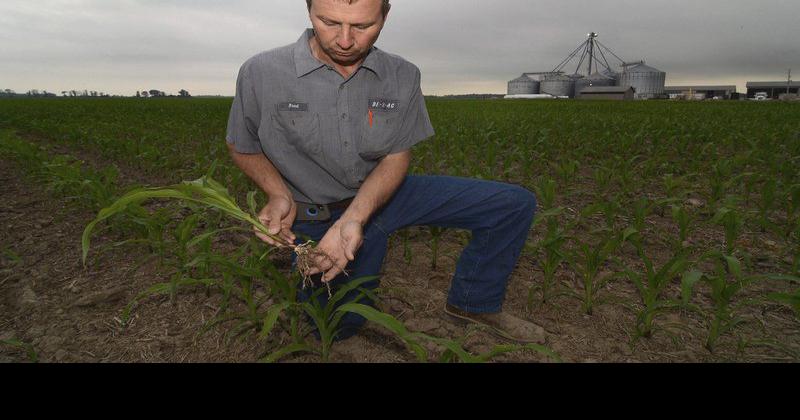 Dry start to season gives farmers pause | Local News | tribstar.com