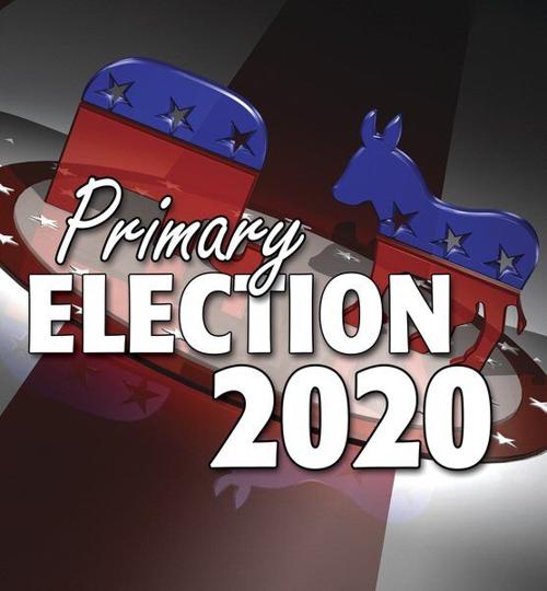 Gop S Norris Neice Bogigian Advance To Fall Council Race Local News Tribstar Com