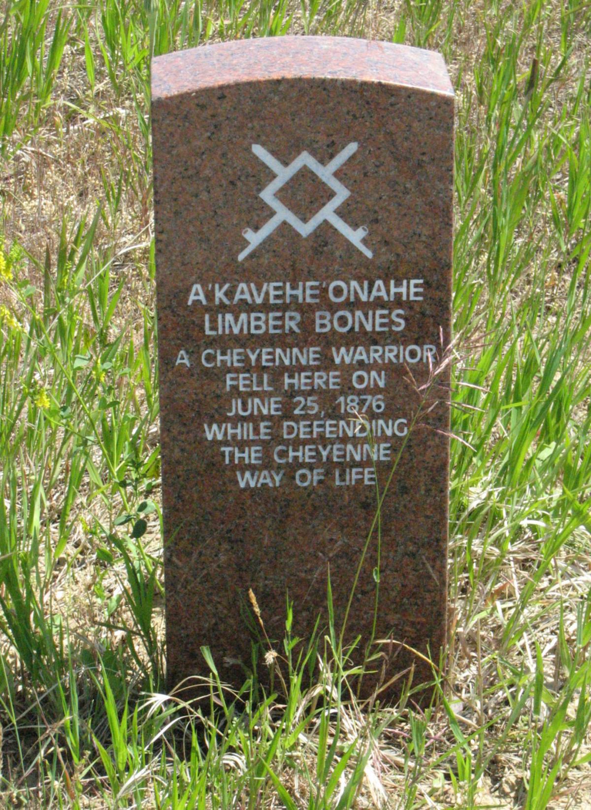 The Spirits Of The Little Bighorn Valley Life Tribstar Com