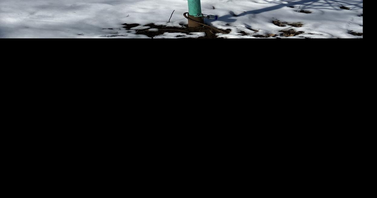 Disc golf course to open at Prairie Creek Park | Local News | tribstar.com