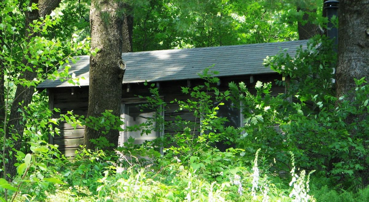 Afternoon on a Hill : The formal poet who led an informal life Edna