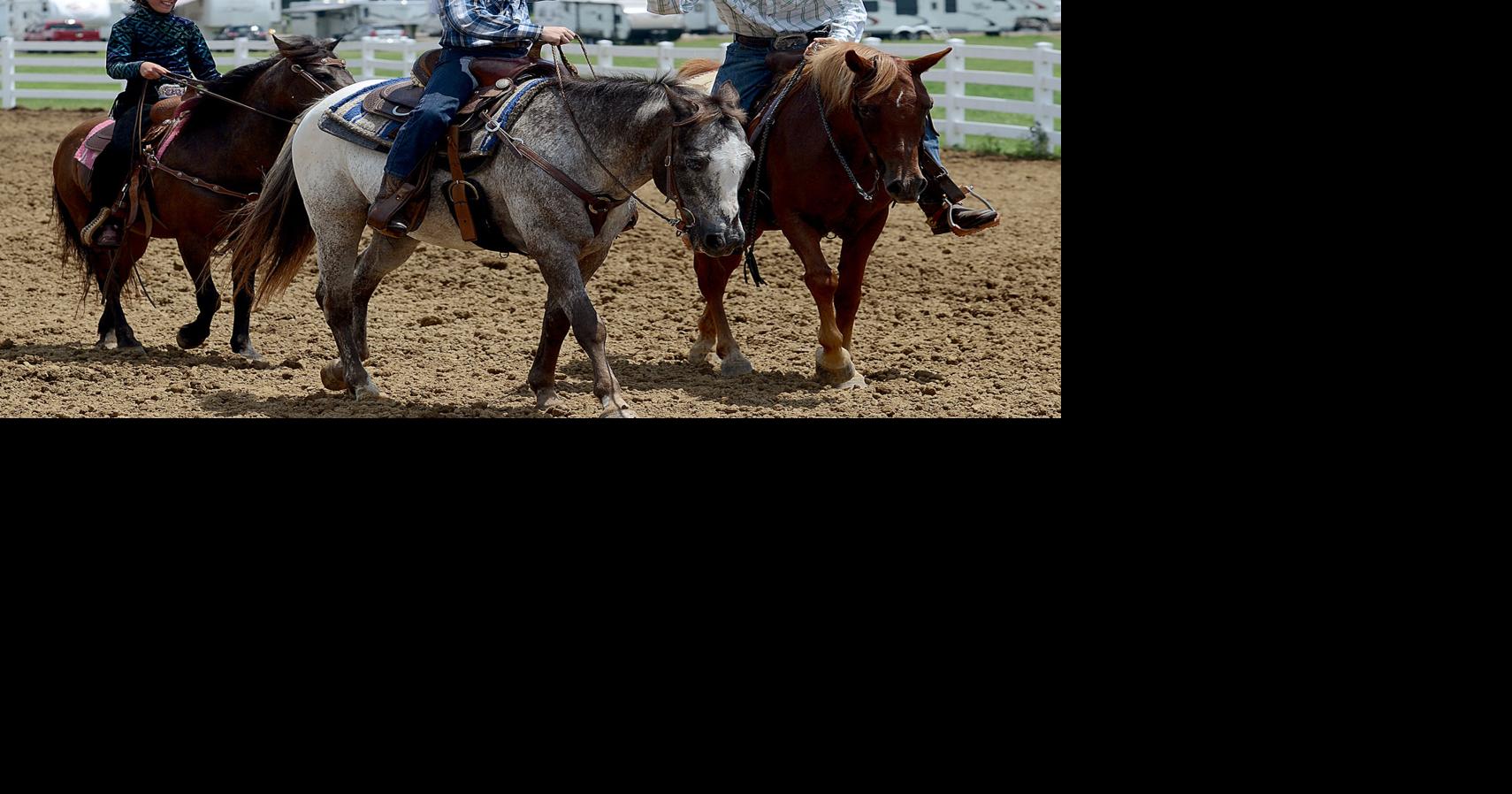 2019 Vigo County Fair Photo Gallery Gallery