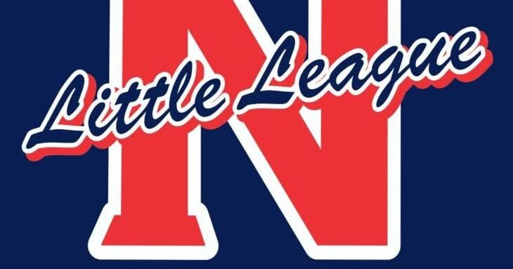 North nipped in Little League District 8 title game