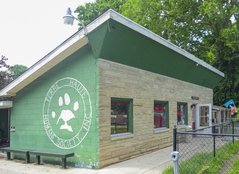 Former volunteer, humane shelter officials differ on meds for animals