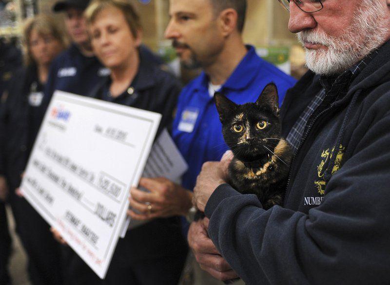 The Humane Way City Begins Program To Curb Feral Cat Population