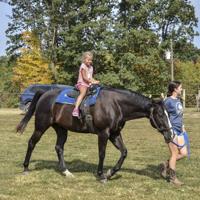 Hospitality & Happiness: Max and Honey's Flower and Pumpkin Farm offers a helping of both