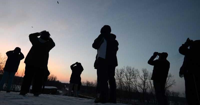 Register for Turkey Run State Park’s Eagles in Flight Weekend, Jan. 23-25