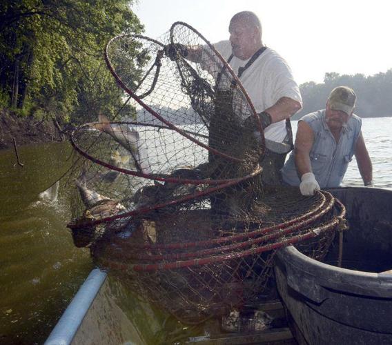 Never Eat Stink Bait: Lessons Learned from the Creek Bank [Book]