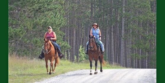 Mio Ranger Distric Mio ranger station closes 2 sites over safety concerns | News ...