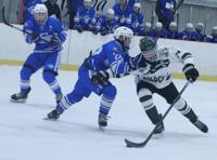 Hamp's hat trick propels Alpena over Flying G's, Wildcats capture ...