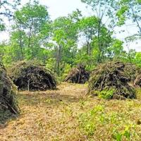 Burns to reduce risk of catastrophic fire to Oscoda Schools