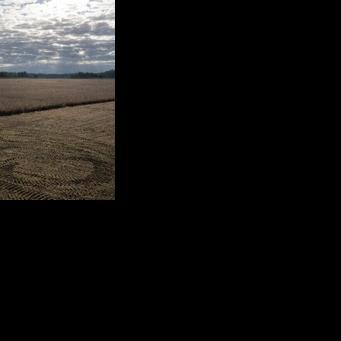 Fertilizer prices surge from Iran war, squeezing weary US farmers