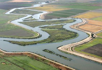 Congress Gets Into Delta Water Debate Tracy Press News Ttownmedia Com