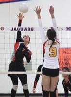 Volleyball: Jags swept in VOL home opener