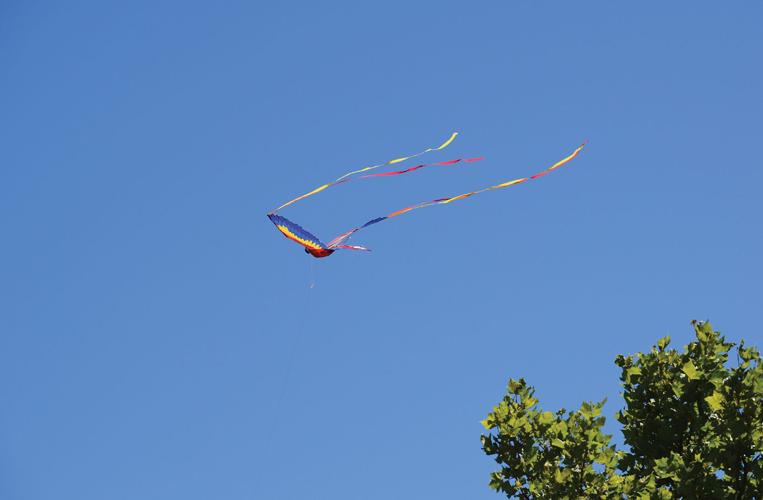 Mountain House Kite Festival Mountain House Press Mountain House Kite Festival Mountain House Press