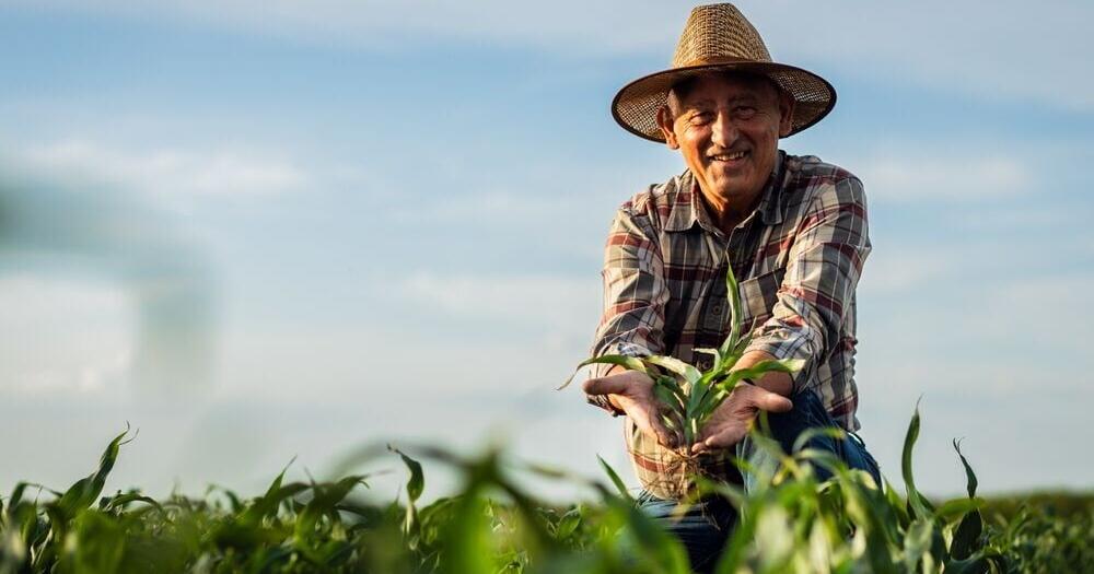 92.3% of California's Seasonal Visa Workers Fill Farm Jobs