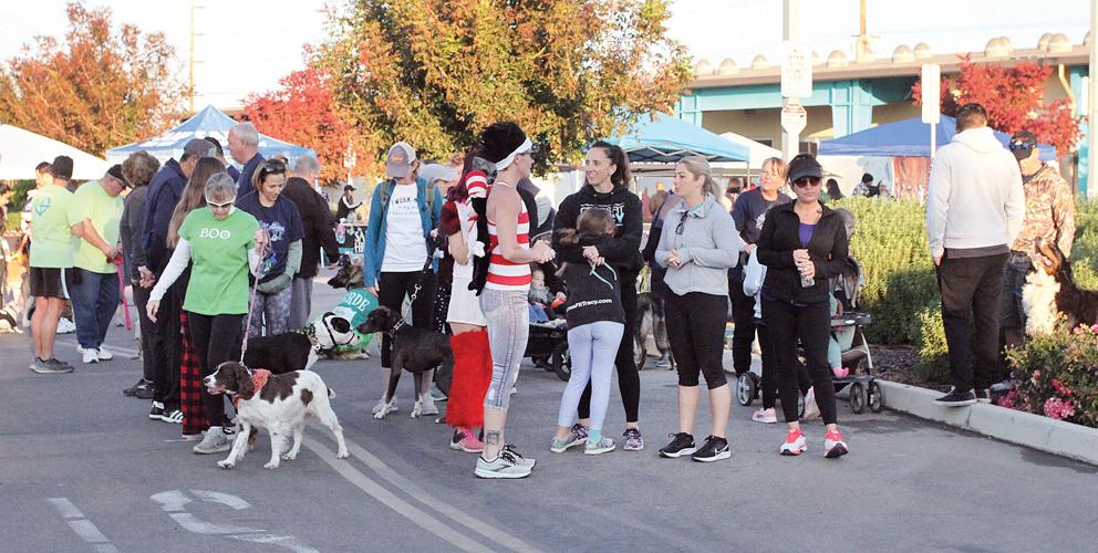 Fast and the Furriest fun run returns to benefit Tracy Animal Shelter