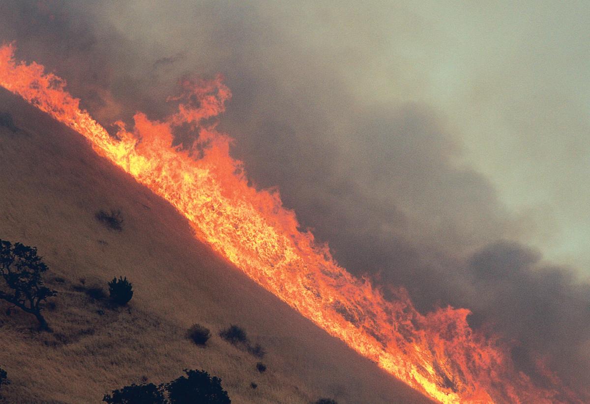 Tesla boy fire