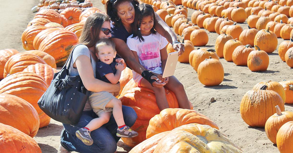 Halloween fun at Dell'Osso Farm | Tracy Press Our Town 