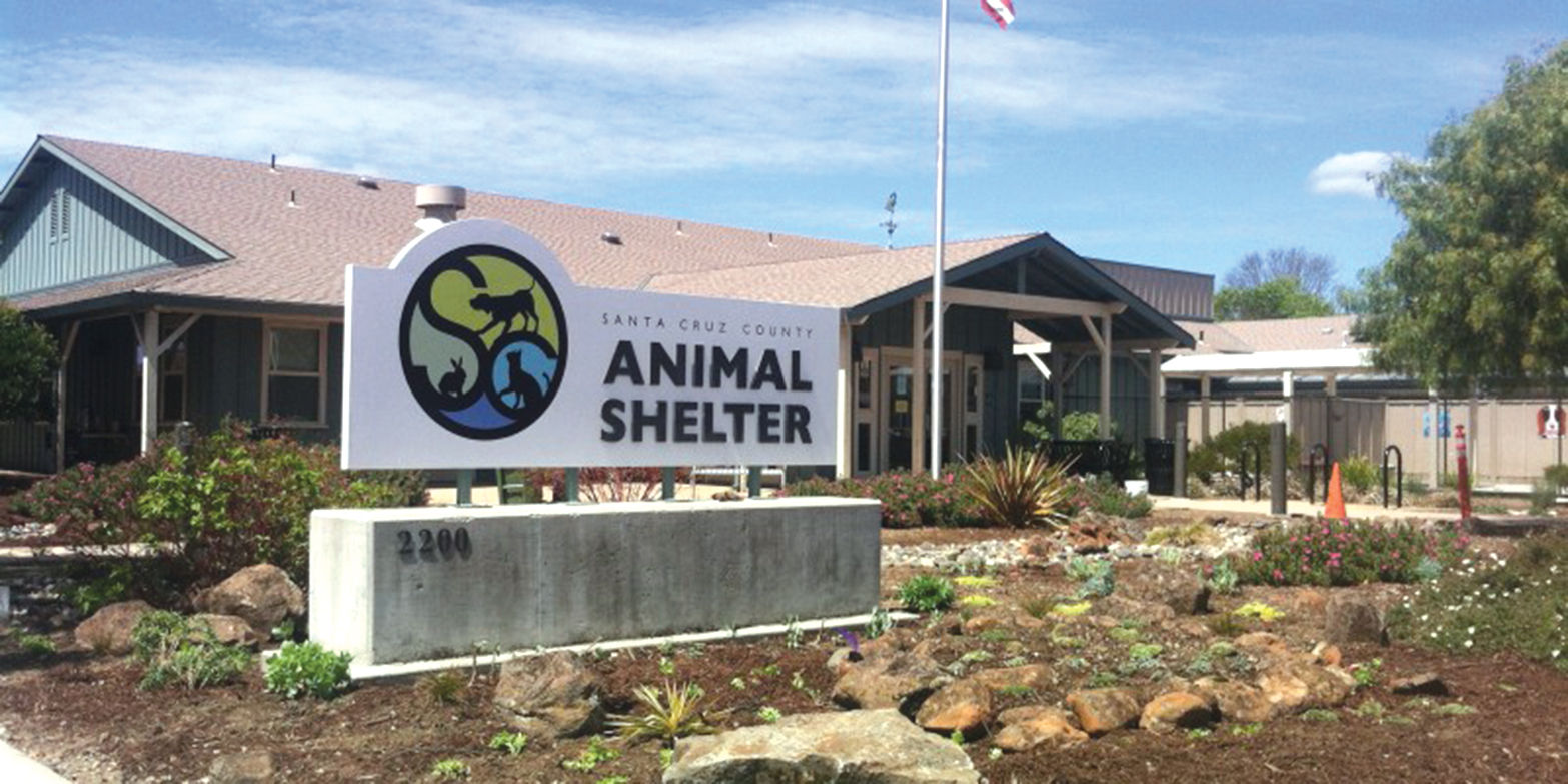 Inside Santa Cruz County Animal Shelter Press Banner News