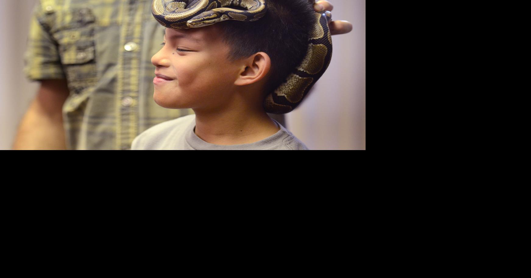 Python Ron | | ttownmedia.com