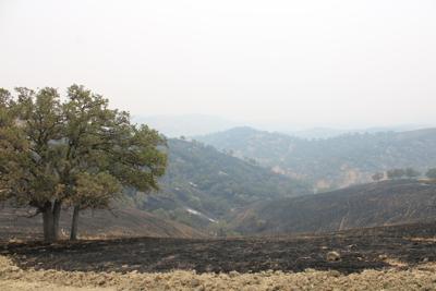 Cal Fire Scu Press Conference Offers Fire Update Patterson Irrigator News Ttownmedia Com