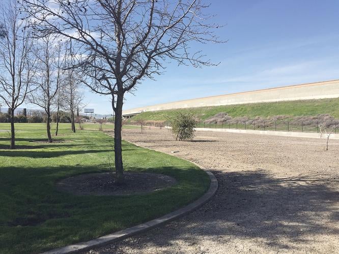 Planning underway for BMX bike track at Clyde Bland Park Tracy Press