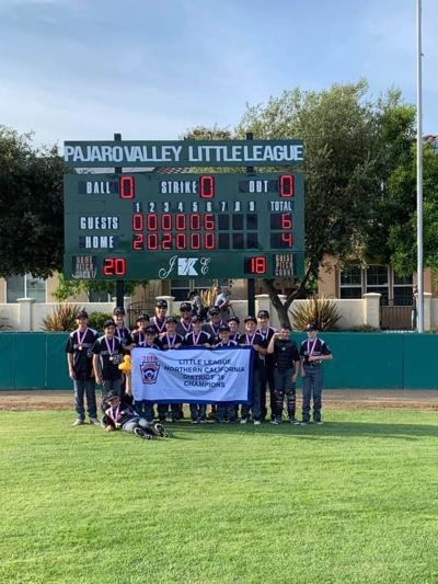Scotts Valley Little League Majors Wins District 39 Championship