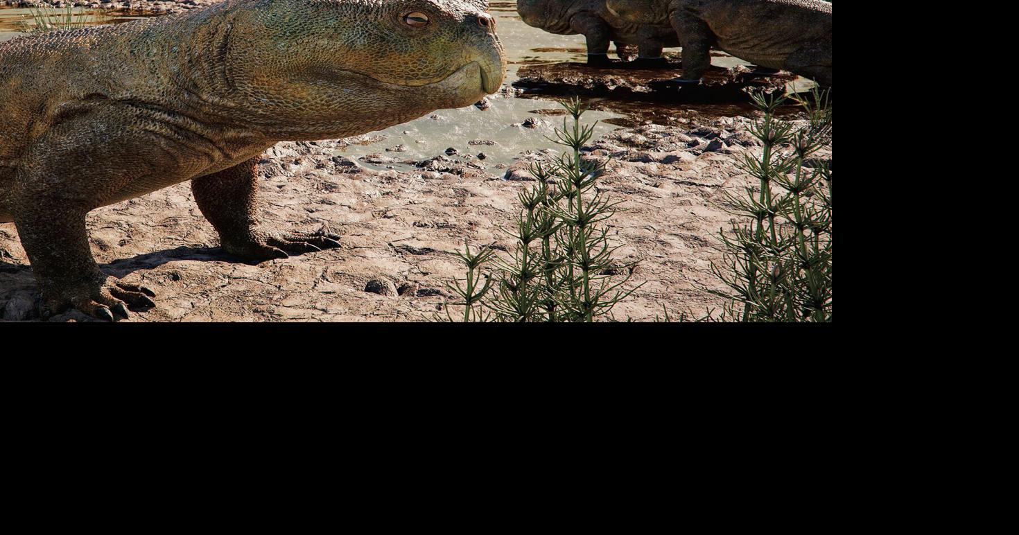 ‘Parrot-beaked’ reptile found in Brazil may have Scottish cousins