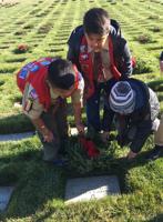 Boy Scouts place 501 wreaths in Wreaths Across America event