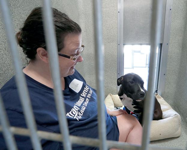 Jordan’s Way raises funds to benefit Tracy Animal Shelter Tracy Press