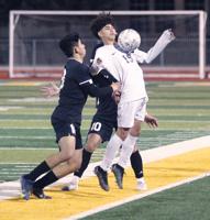 Boys soccer: 'Dogs take down the Wolf Pack to clinch season series