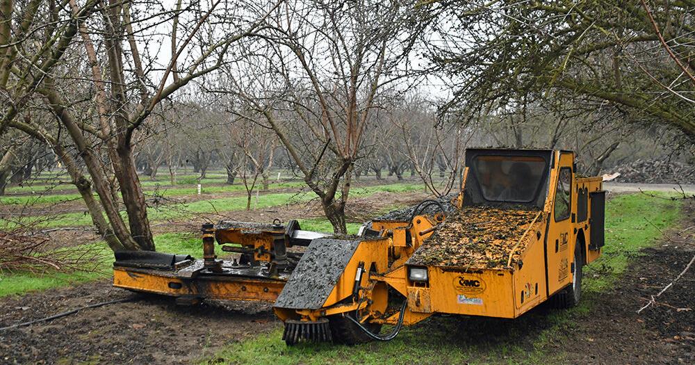 Counties struggle with new abandoned orchard law